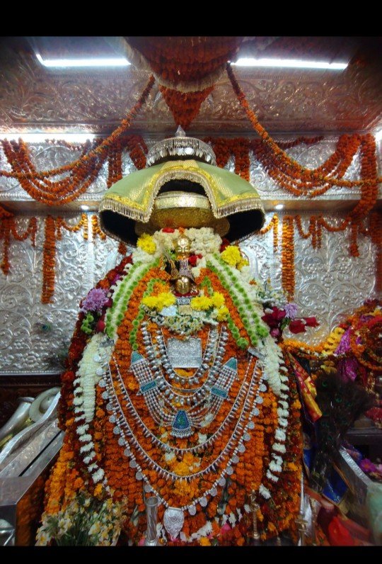 24 वर्ष बाद हामटा दौरे पर जाएंगे आराध्य देव श्रृंगा ऋषि महाराज, तैयारियों को अंतिम रूप।